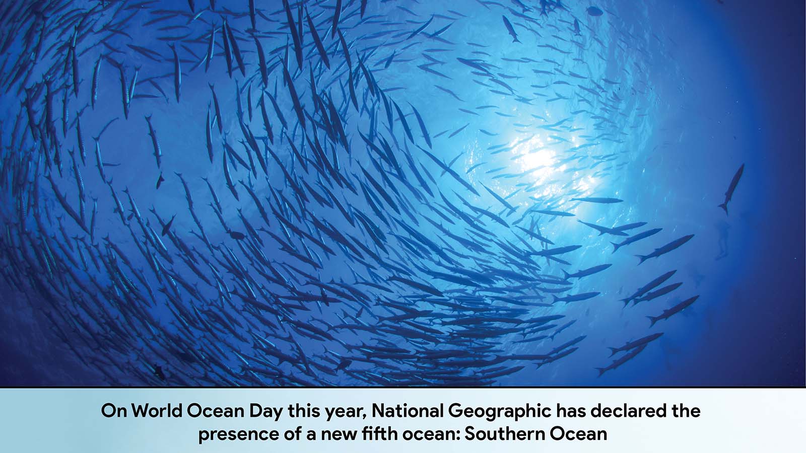 National Geographic has declared the presence of a new fifth ocean: Southern Ocean